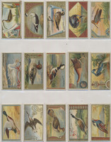 1889 Allen & Ginter  N13  Game Birds  Lot 40/50  #*