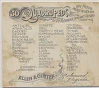 1890 Allen & Ginter N41 Quadrupeds Lot 5  WILL SELL SINGLES  #*