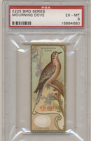 1910 E225 BIRD SERIES  Mourning Dove  PSA 6 EX-MT  #*