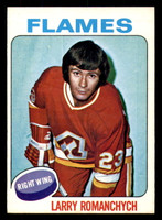 1975-76 O-Pee-Chee #153 Larry Romanchych Excellent+ 