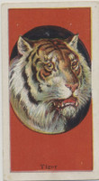 c-1910 E26 John H. Dockman & Son Manegerie Gum Animals  Tiger  #*sku36000