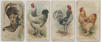 c-1907 E31 Philadelphia Caramel Co Zoo's Cards  Chickens Lot 34/50  #*sku35989