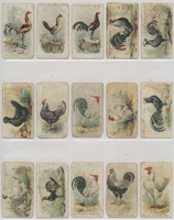 c-1907 E31 Philadelphia Caramel Co Zoo's Cards  Chickens Lot 34/50  #*sku35989