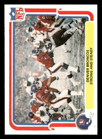 1980 Fleer Team Action #15 Denver Broncos Near Mint Football  ID: 429242