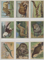 1910 Hassan T29  Animals  Set 80 (High Grade)  #*skunsset36344