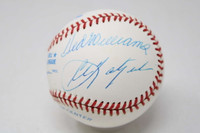 Mantle Yastrzemski Williams Robinson PSA/DNA Signed Auto Baseball Triple Crown ID: 452766