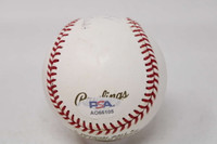 Luis Gonzalez PSA/DNA Signed Auto Baseball Diamondbacks 2001 WS Game 7 GW Hit