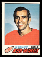 1977-78 O-Pee-Chee #70 Ed Giacomin Ex-Mint OPC 