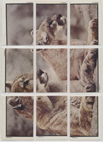 1975 Topps Zoo's Who Set 40/17   #*sku36787