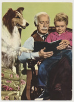 circ 1950's Lassie and Family Unused Postcards 6 x 8 inches Lot of 2  #*sku36876