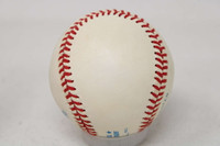 Whitey Ford PSA/DNA Authenticated Auto Signed Baseball Yankees ID: 500632