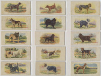 1929 V13 Cowans Dog Pictures  Lot 15/25  Great starter set!#*sku36984