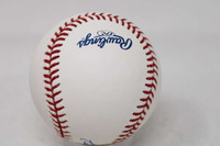 Todd Wellemeyer Baseball MLB Authenticated Signed Cardinals