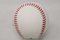 Graig Nettles Baseball Signed Autograph MLB Authentication Yankees