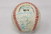 Gary Carter Baseball Signed Autograph PSA/DNA Mets 1987 Team Ball 29 Autographs