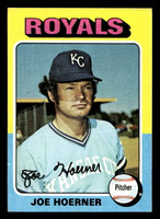 1975 Topps Mini #629 Joe Hoerner Ex-Mint MINI  ID: 514154