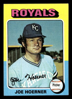1975 Topps Mini #629 Joe Hoerner Ex-Mint MINI  ID: 514156