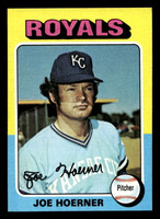 1975 Topps Mini #629 Joe Hoerner Ex-Mint MINI  ID: 514272