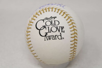 Ryne Sandberg Baseball PSA/DNA Authenticated Signed Auto Cubs Gold Glove Ball