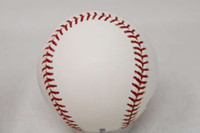 Ron Santo Baseball PSA/DNA Authenticated Signed Auto Cubs ID: 515009