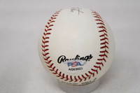 Enos Slaughter Baseball PSA/DNA Autograph Signed Cardinals