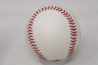 Denny McLain Baseball PSA/DNA Autograph Signed Tigers 31-6, 1968