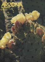 1982 Arizona Highways Magazine March 1982  Arizona Flowers  #*sku37216