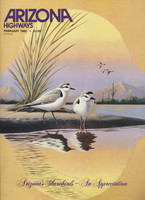1982 Arizona Highways Magazine February 1982 Arizona's Shorebirds  #*sku37217