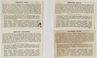 1947 Kellogg's Company F273-2b Birds Pictures Series B 20/24  #*sku37255