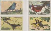 1947 Kellogg's Company F273-2b Birds Pictures Series B 20/24  #*sku37255