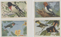 1947 Kellogg's Company F273-2b Birds Pictures Series B 20/24  #*sku37255