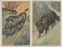circ. 1930's D12 Bread Advertising Animals in Their Habitats  Lot of 2 different plus 5 duplicates  #*sku37400