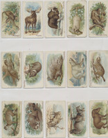 1910 E28 Philadelphia Caramel Co. Zoo Cards (Quadrupeds) Complete Set of 50  #*sku26698