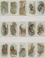 1910 E28 Philadelphia Caramel Co. Zoo Cards (Quadrupeds) Complete Set of 50  #*sku26698