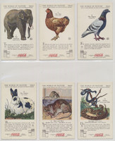1920'S COCA-COLA F213-3 THE WORLD OF NATURE SERIES II "MAN'S CLOSEST FRIENDS AND..."     #*sku37463