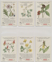 1920'S COCA-COLA F213-3 THE WORLD OF NATURE SERIES IV "SOME COMMON WILD FLOWERS"  #*sku37465