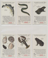 1920'S COCA-COLA F213-3 THE WORLD OF NATURE SERIES VII "LIFE IN & AROUND THE WTER"    #*sku37466
