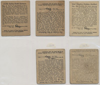 1937 Woverine Gum Co. R21 Ripley's Believe It or Not!  Lot of 5 Different of 48 in Set  #*sku37514