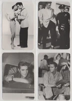 1998 Spanish Jorge Lobo Calendar with Elvis Presley  All 12 Months  #*sku37634