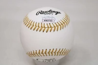 Andruw Jones Baseball JSA Autograph Signed Braves Gold Glove Logo Ball 10x