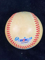 Carl Yastrzemski Baseball PSA/DNA Autograph Signed Red Sox Bobby Brown Ball