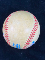 Carl Yastrzemski Baseball PSA/DNA Autograph Signed Red Sox Bobby Brown Ball