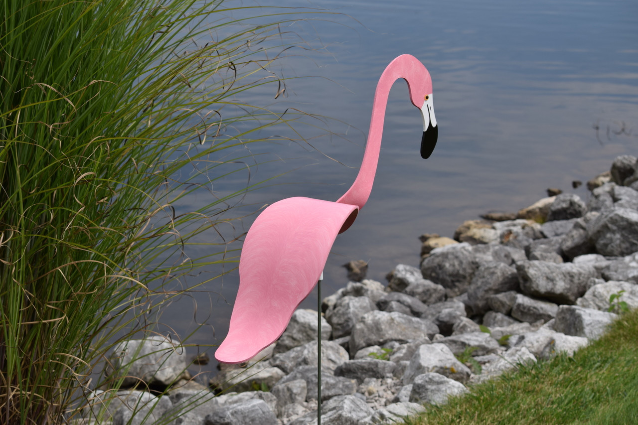 Flamingos - Florida Dancing Birds®