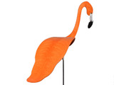 Orange Flamingo