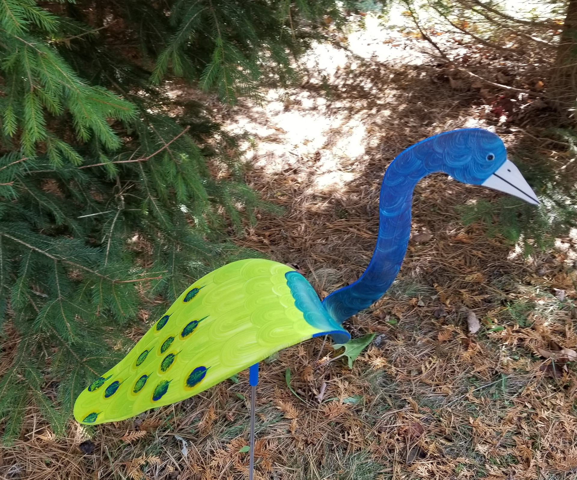 Florida Dancing Birds - ai8y4w6