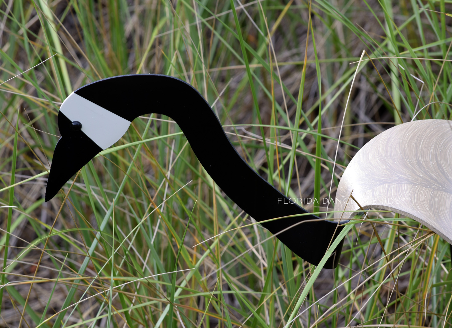 Canada Goose Florida Dancing Birds® - Main Image