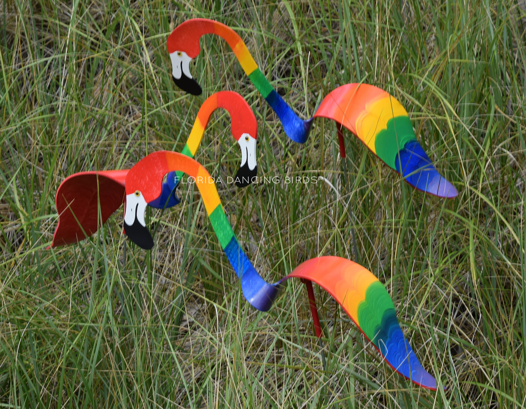 Rainbow Flamingo - Florida Dancing Birds®