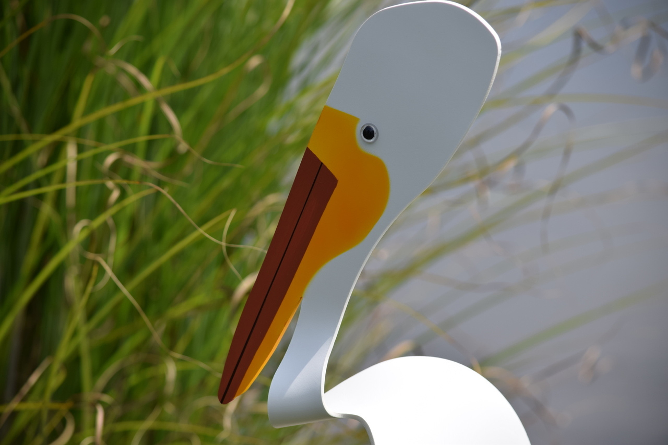 Florida Dancing Birds - grwme4s
