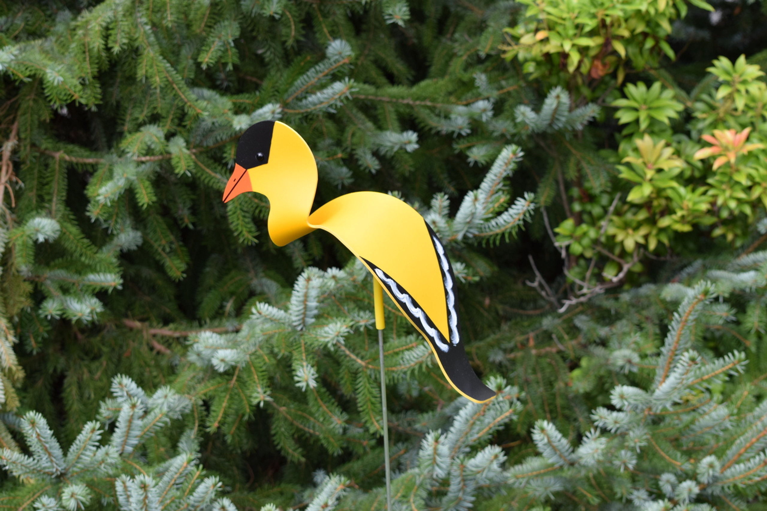 Florida Dancing Birds - cppq1hu