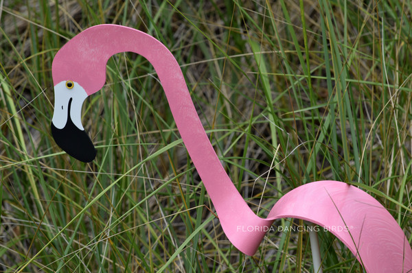 Pink Flamingo Detail